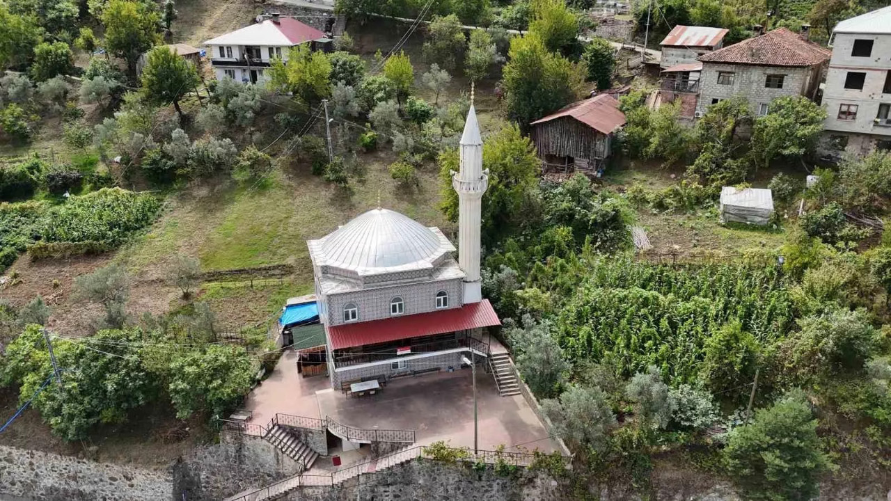 Artvin’in Borçka ilçesinde üretiliyor! Türkiye'nin dört bir yanına gönderiliyor