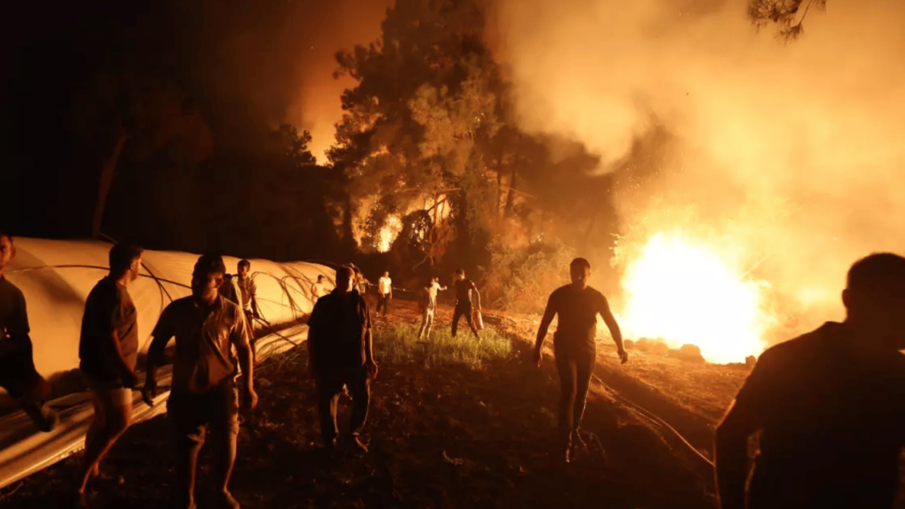 Antalya ve Muğla'dan yürek burkan görüntüler: Vatandaşlar da seferber oldu...