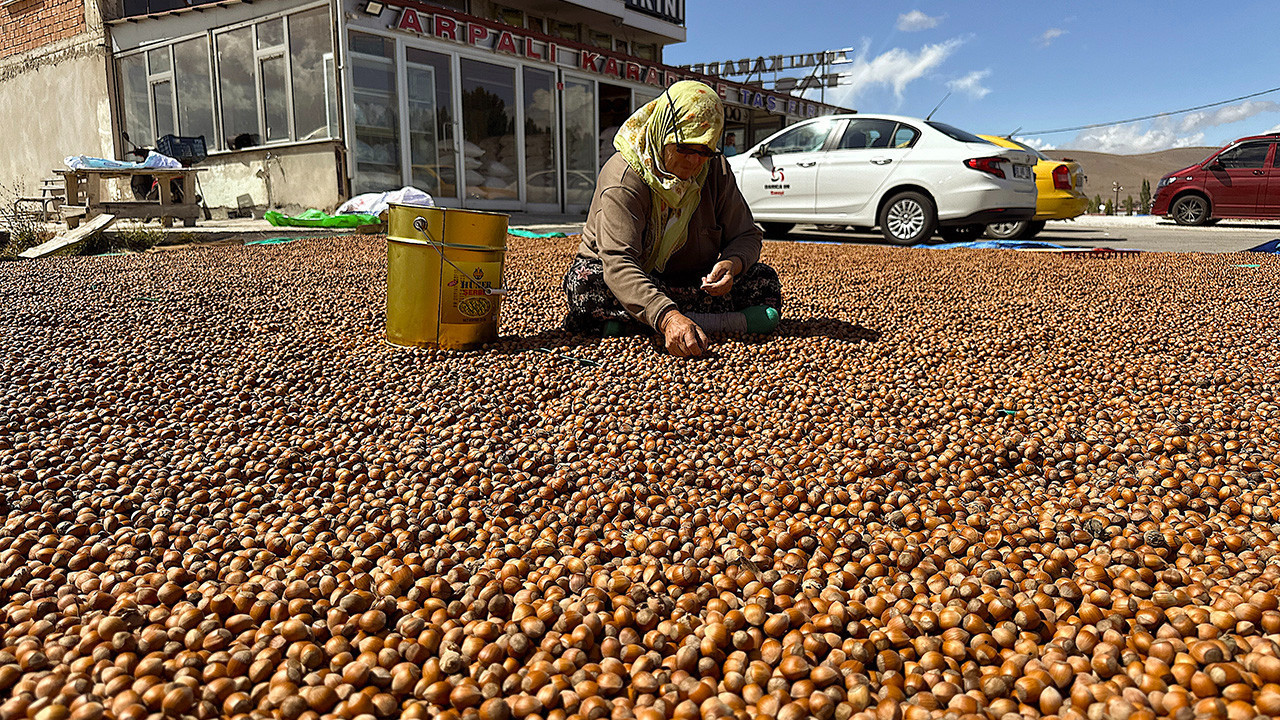 Üretici fındığı emanete bırakmadı fiyatlar yükseldi