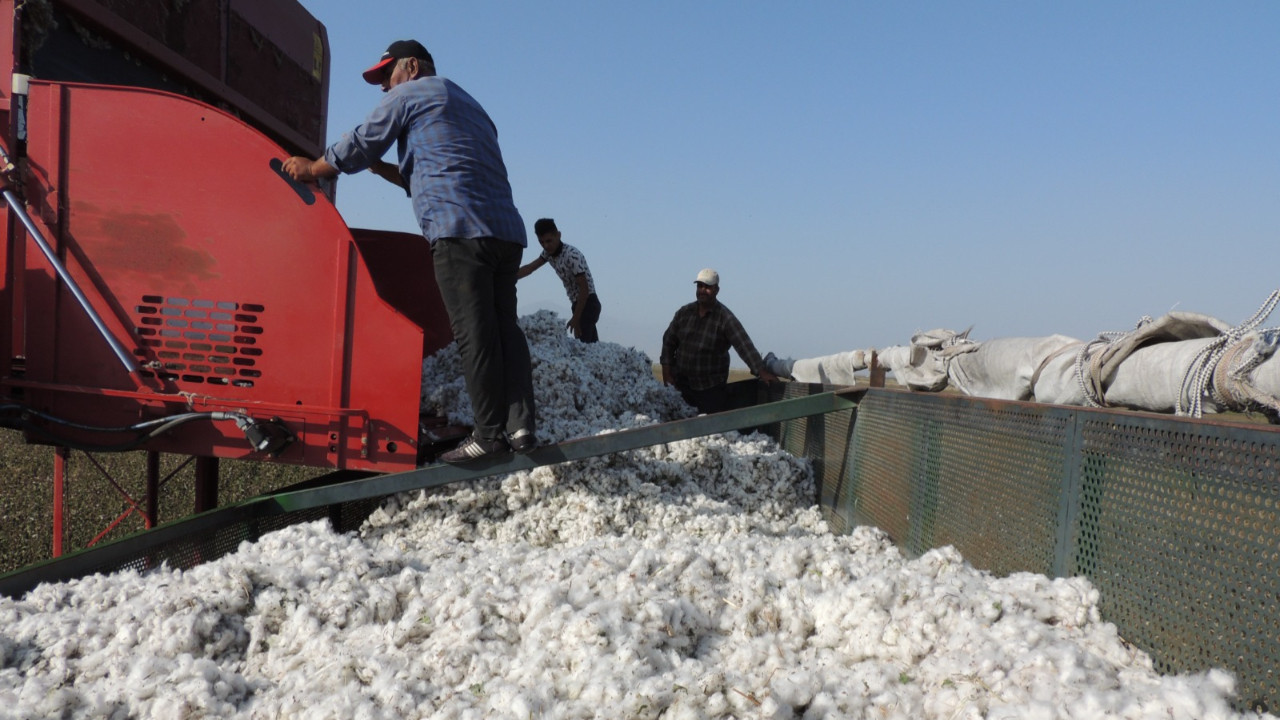 Amik Ovası’nda pamukçu 40 lira taban fiyatı istiyor