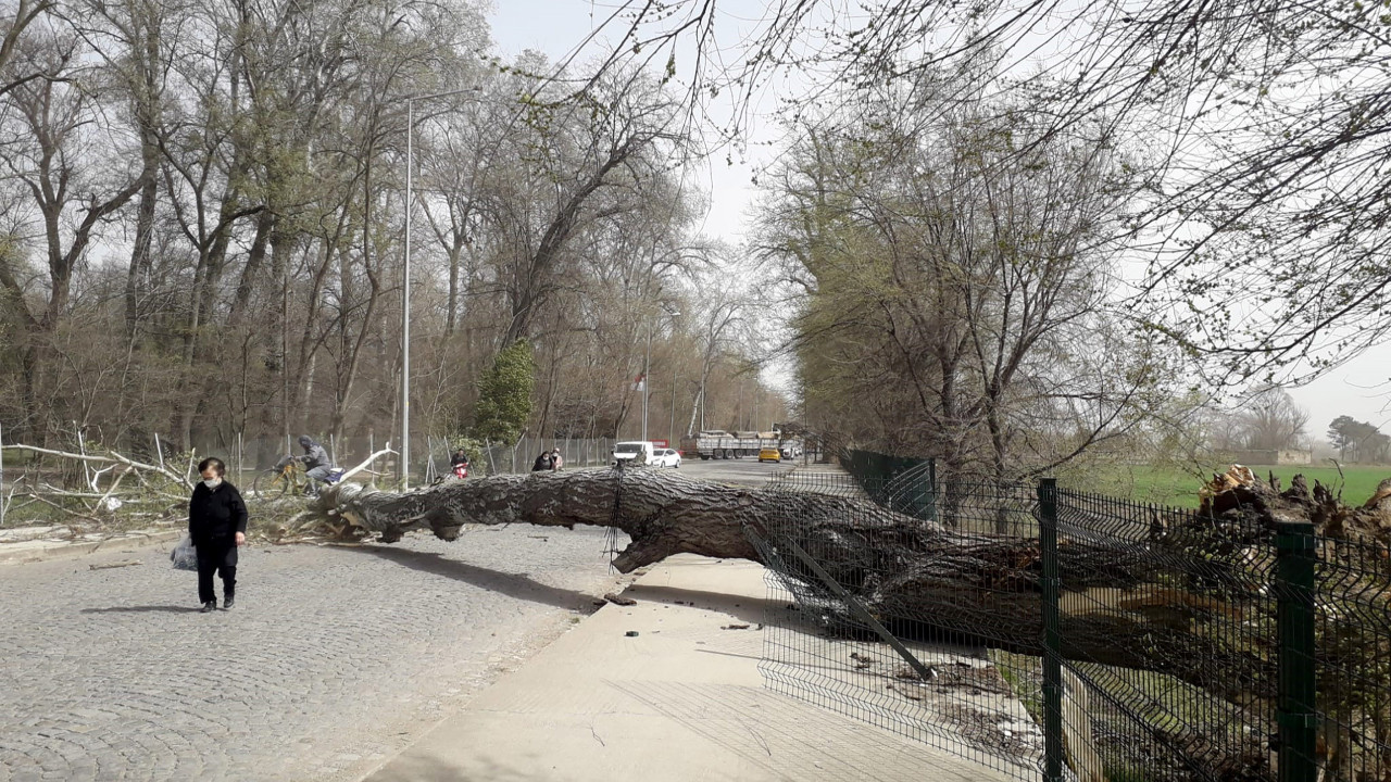 2 bölge için fırtına uyarısı geldi! Bakın ne zaman başlıyor