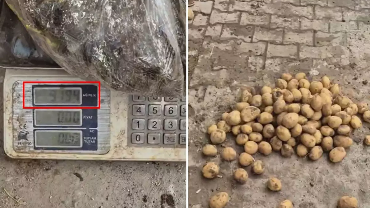 Ahlaksızlığın böylesi! 22 kiloluk çuvalda bakın kaç kilo patates çıktı