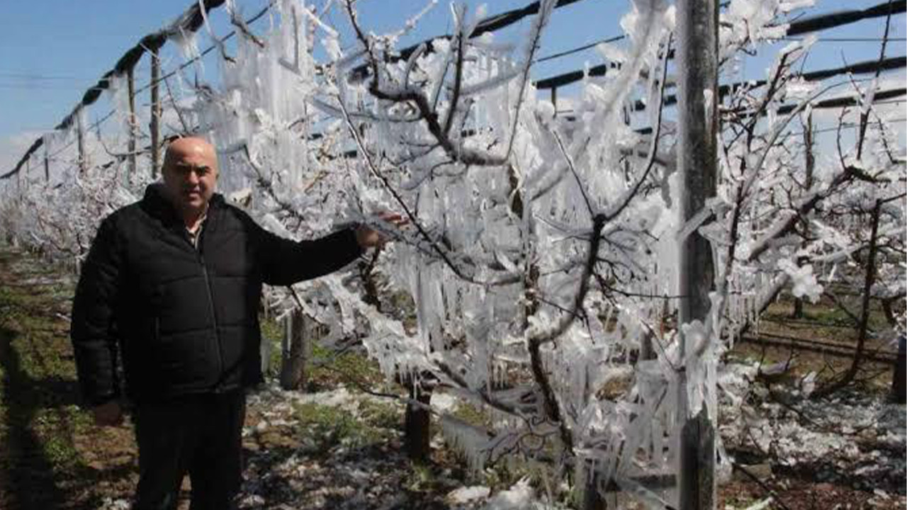 Zirai dona çare var