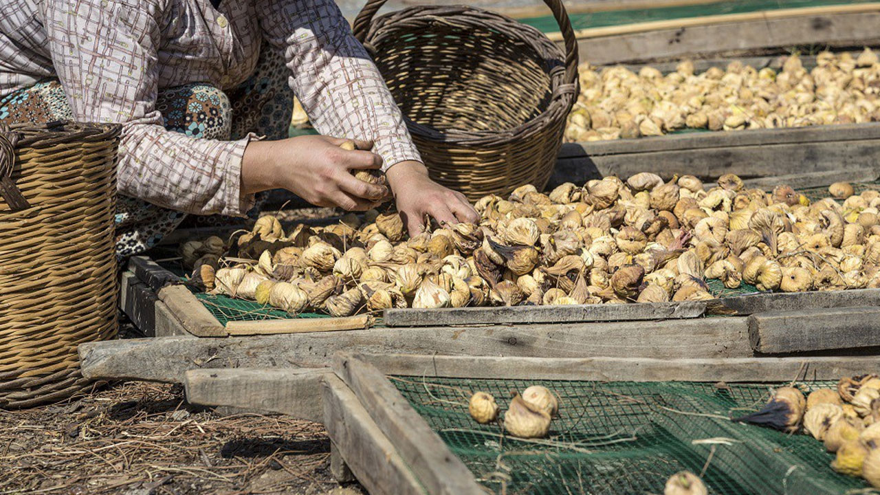 çiftçiden incirde fiyat tepkisi