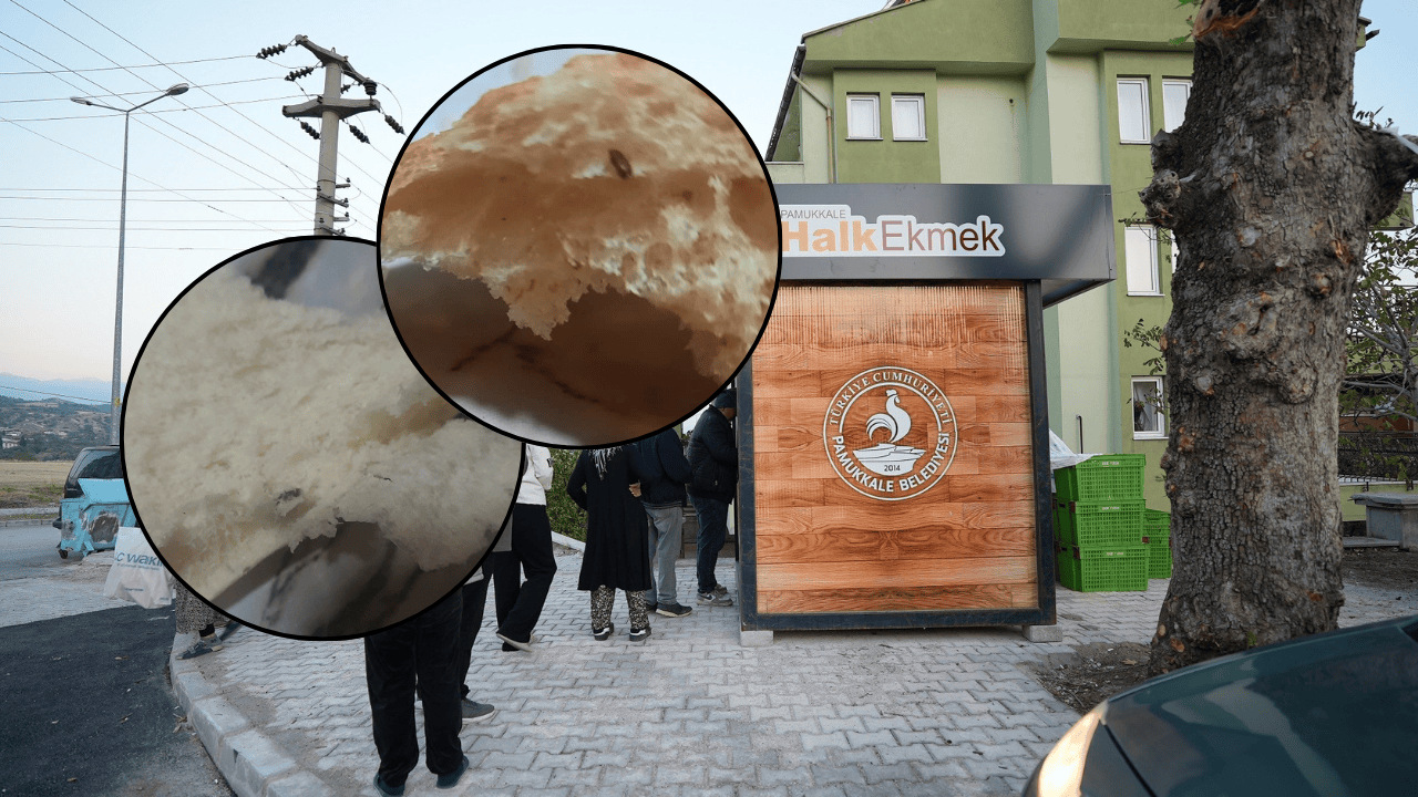 Halk Ekmek'te skandal: Ekmekten fare dışkısı ve un kurdu çıktı!