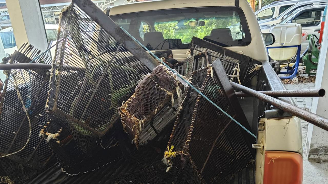 Samsun'da ele geçirildi: Tam 1 ton!