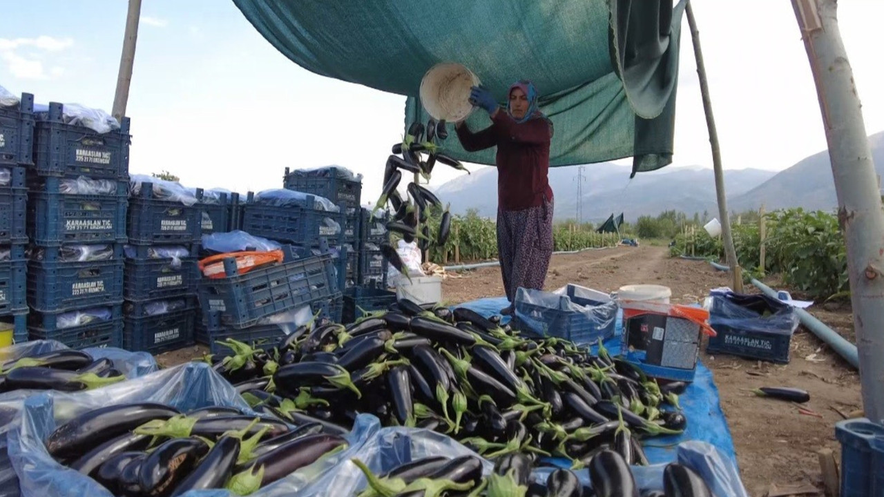 Erzincan’da 700 kişiye iş imkanı sağlayacak!
