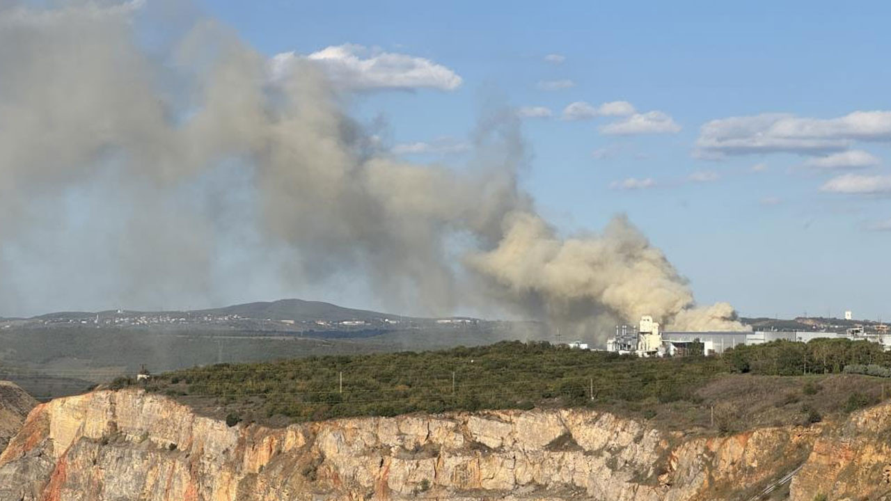Gebze'de fabrika bahçesinde korkutan yangın