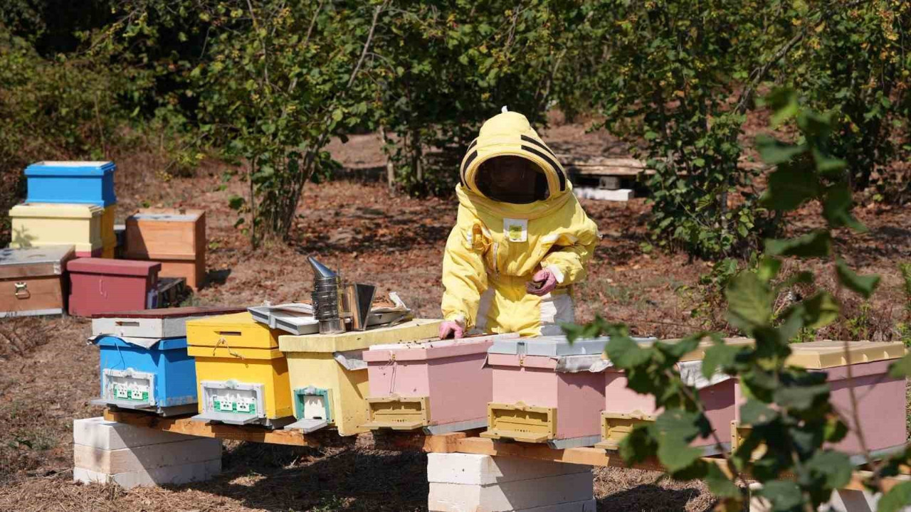 Düzce Üniversitesi'nden uluslararası başarı