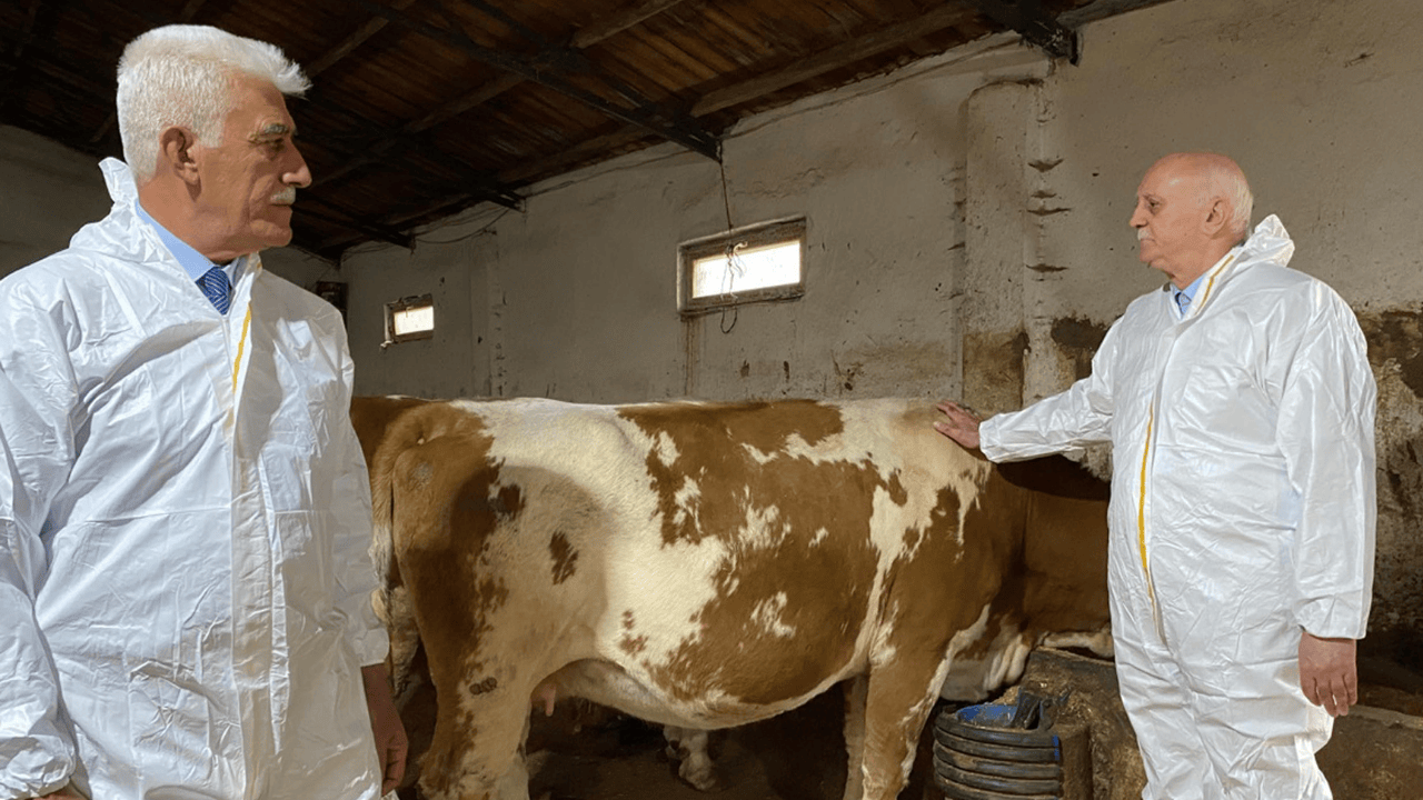 'Şap hastalığından etkilenen işletmelere destek verilmeli'