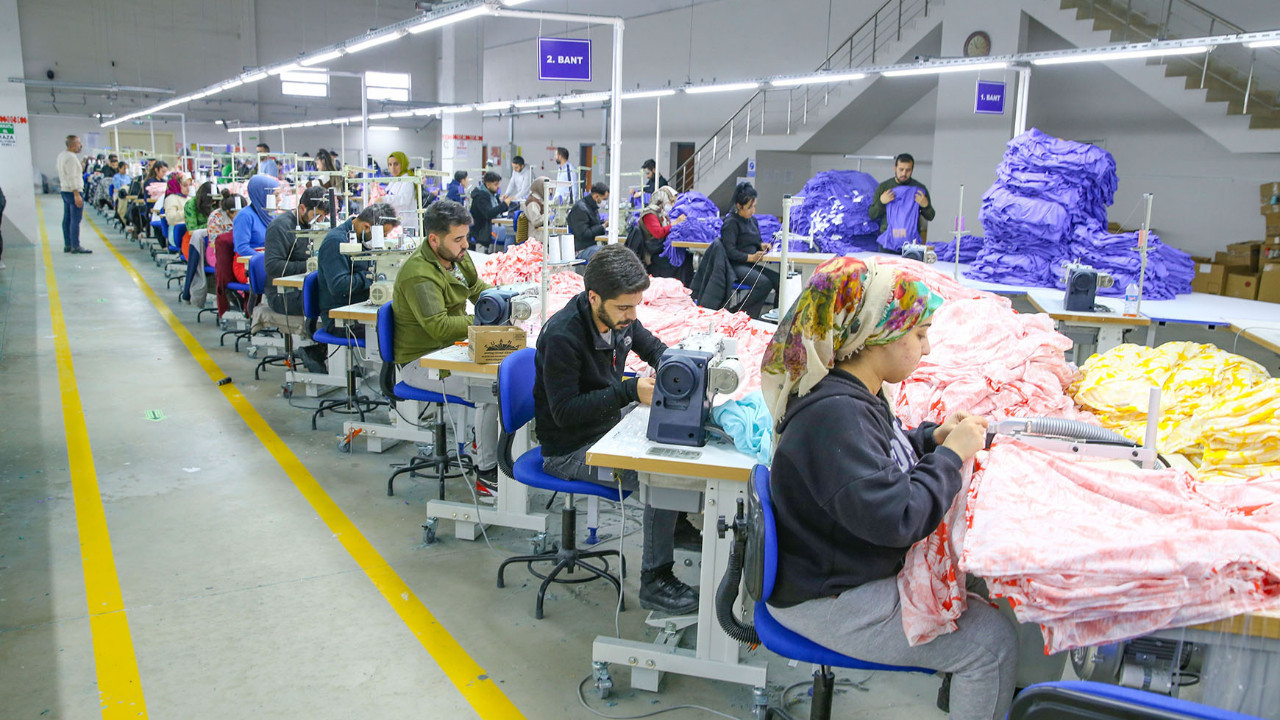 Şanlıurfa, Çukurova ve Söke’de pamuk üretimi krizde! Türkiye pamuktan vazgeçiyor ithalata devam