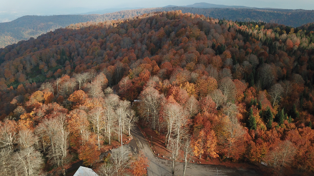 Kuzuyayla Tabiat Parkı'nda sonbahar güzelliği! Koc…
