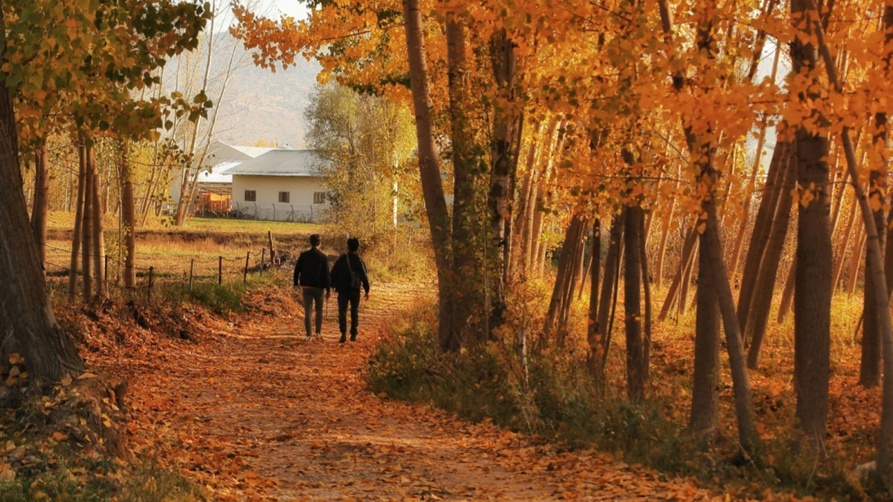 Meserret Taşkın’dan mektup var! SONBAHAR…