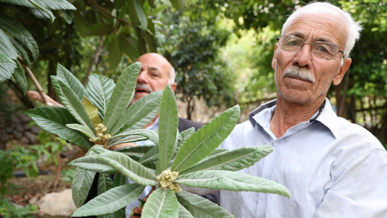 Türkiye'nin en verimli köyü orada! Ne ekersen onu biçiyorsun