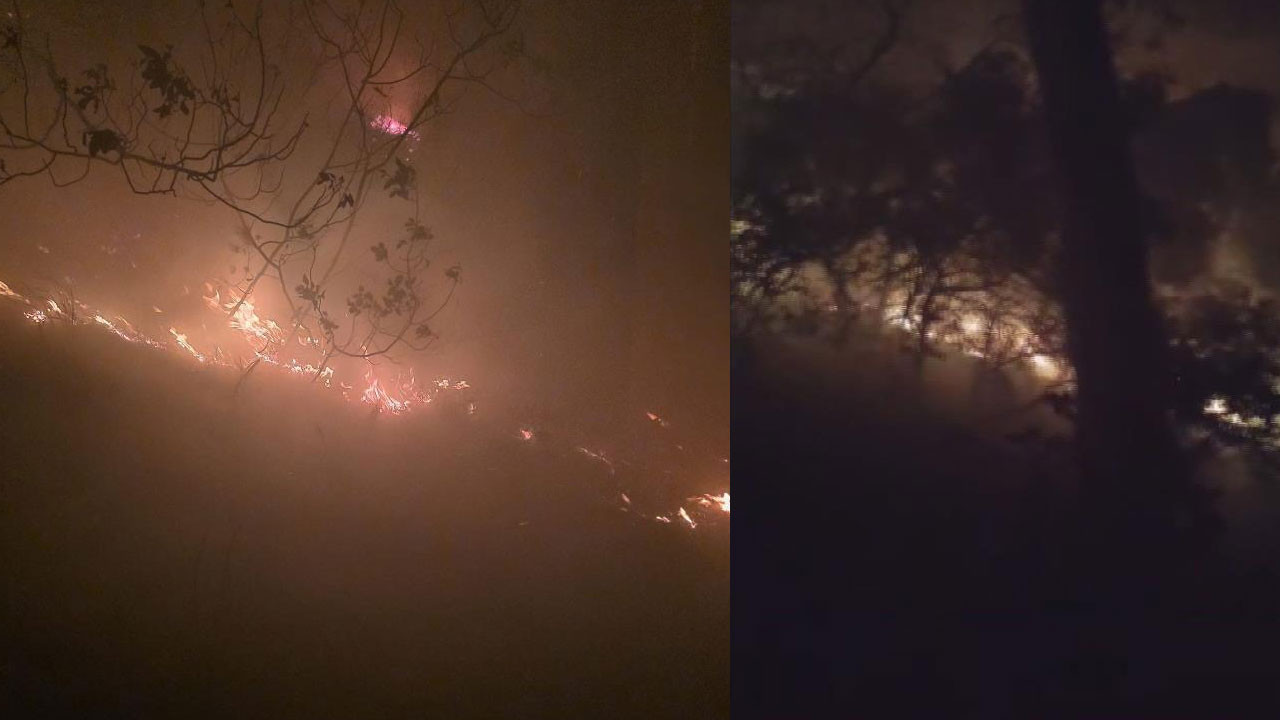 Hatay'da ormanlık alanda yangın!