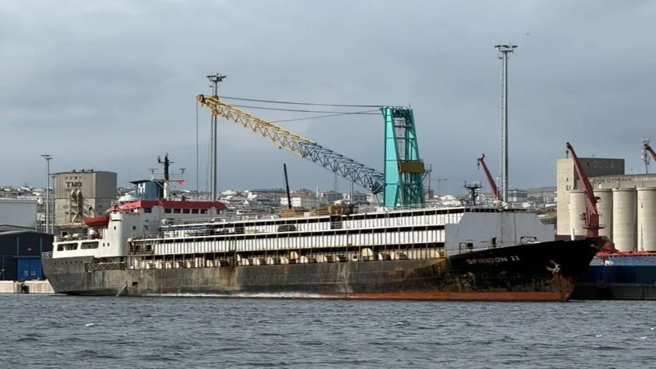 Bandırma’daki hayvan ithalatı tartışması büyüyor