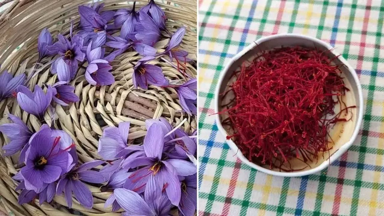 Adana'da üretiliyor: Gramı 600 TL'den satılıyor