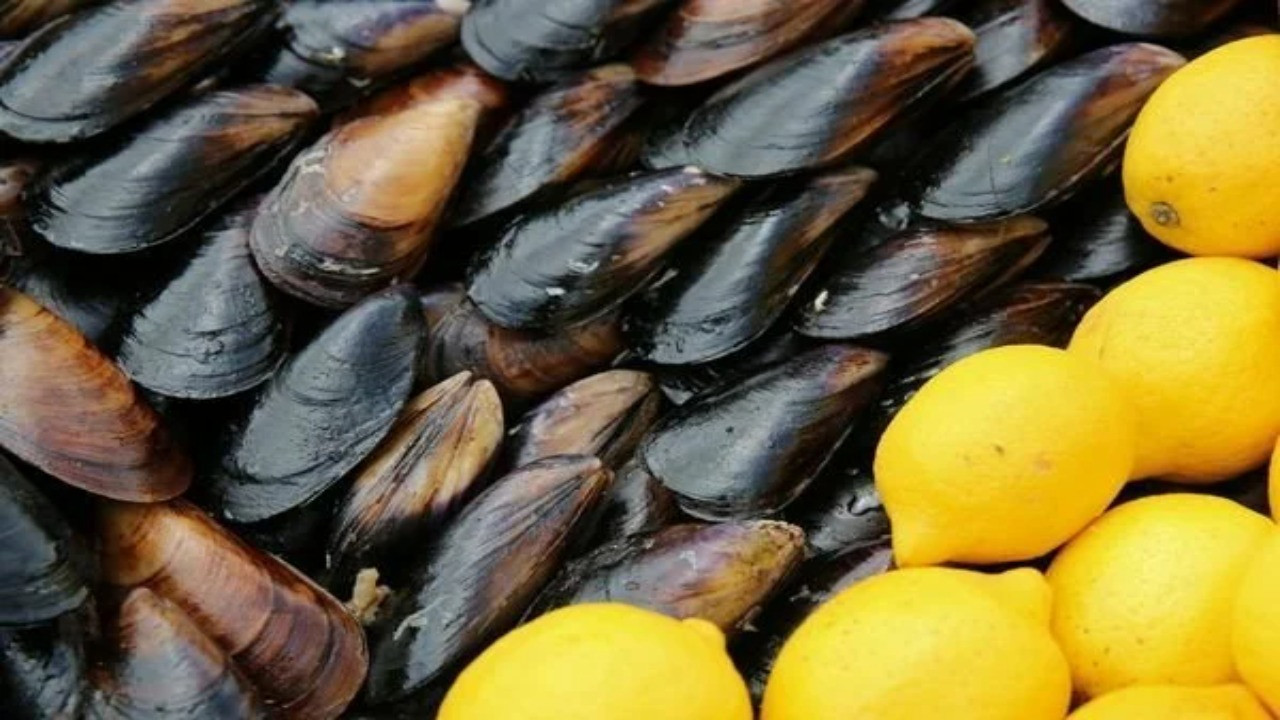 İstanbul’daki zehirlenme faciası: Kokoreç ve midyenin testleri sonuçlandı