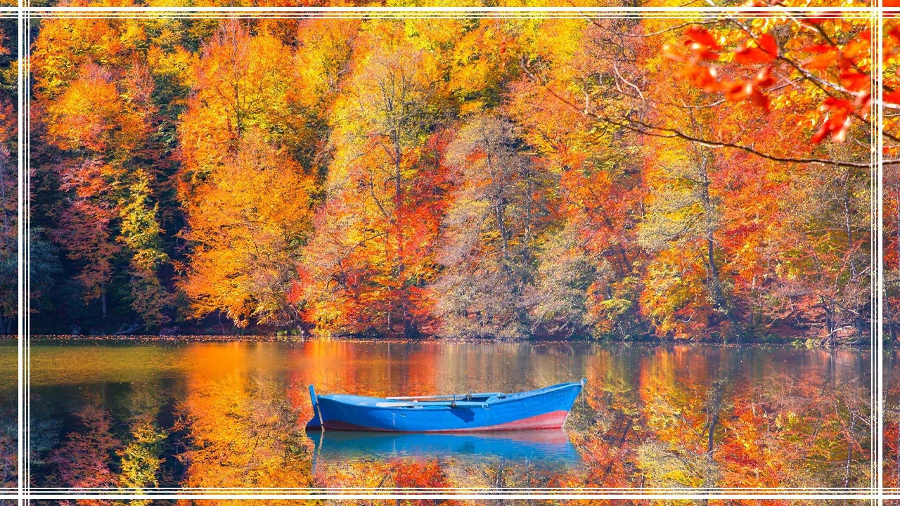 Meserret Taşkın’dan mektup var! Doğanın yası