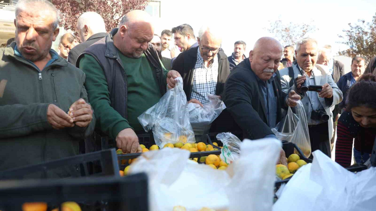 Hatay'da mandalina 2 TL'ye düştü!