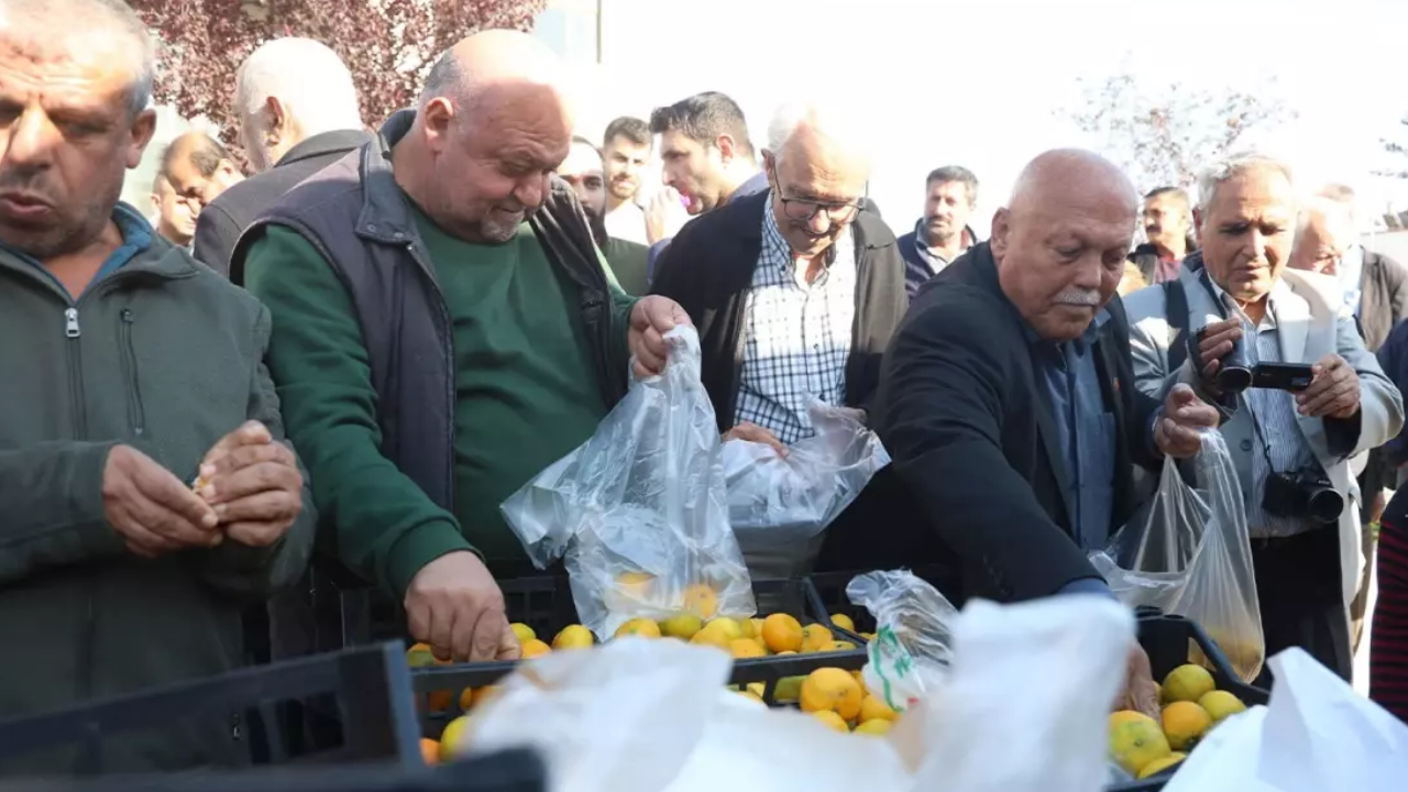 Markette 30 TL! Hatay'da 2 TL'ye satışa çıkarıldı