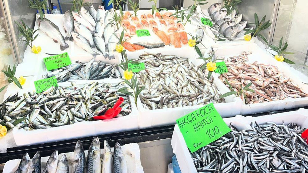 Düzce’de balık fiyatları düştü!