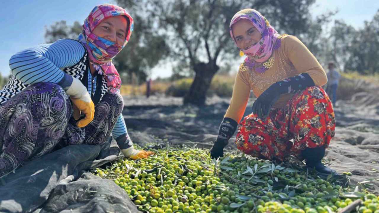 Tarımda sert düşüş: yüzde 12,7 küçüldü! Çiftçiyi ve suyumuzu üretim ekonomisi için koruyalım