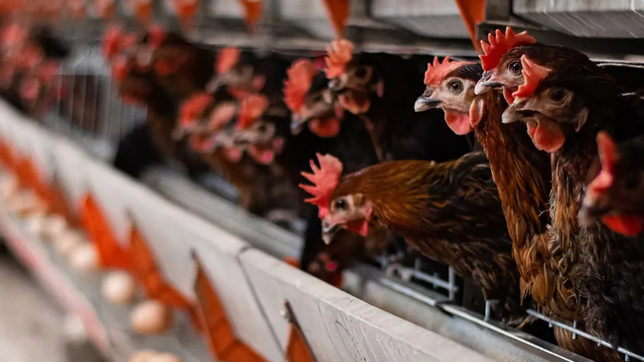 İflasların ardı arkası kesilmiyor! Sektör devi konkordato ilan etti