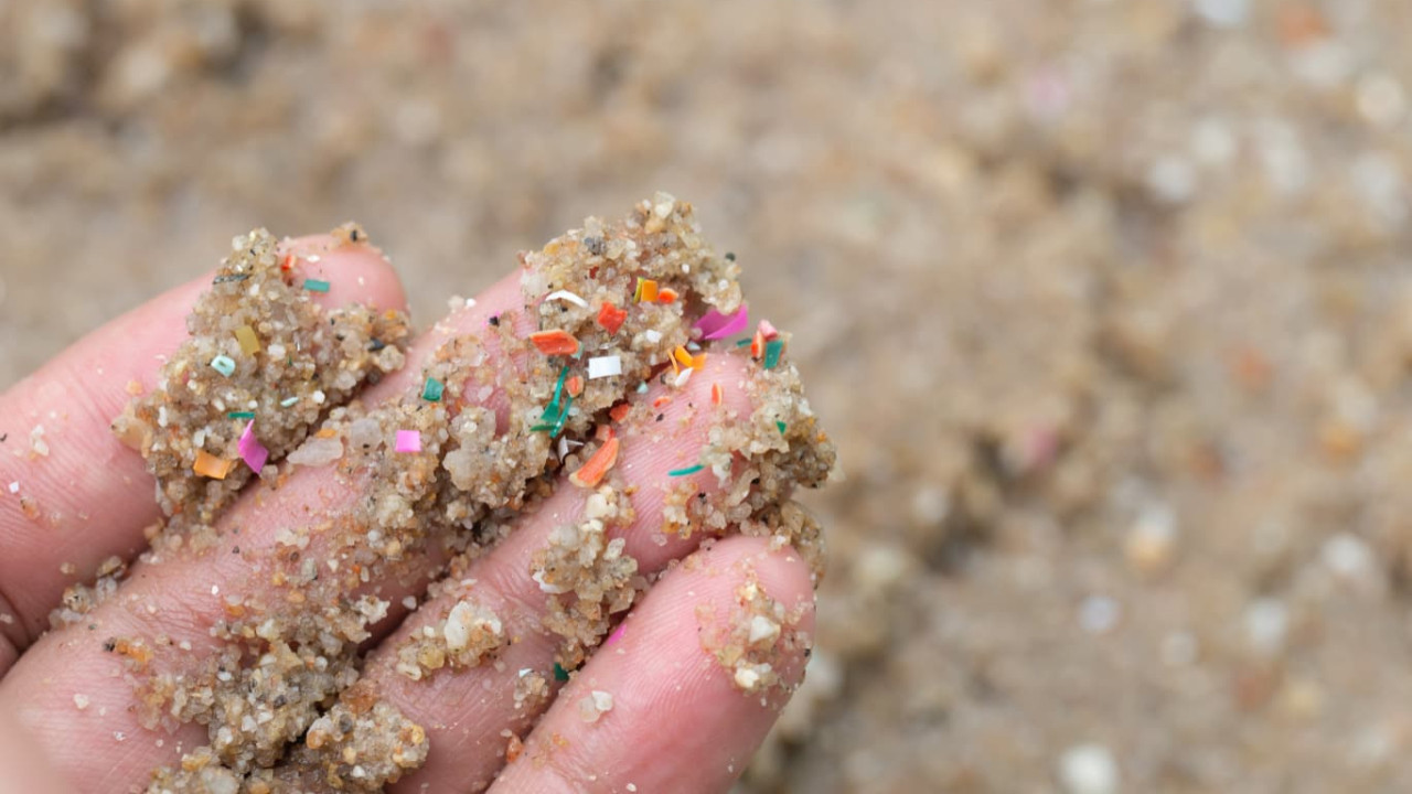 En çok mikroplastik Bozburun’da tespit edildi