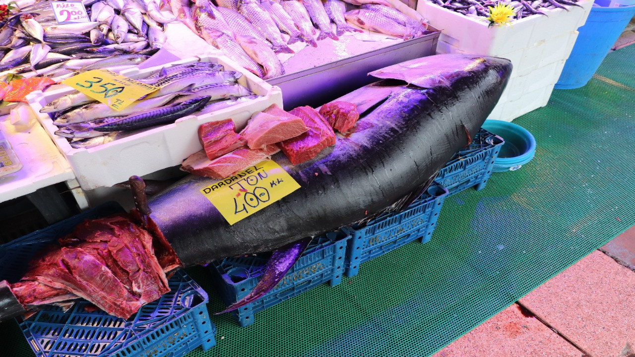 Eskişehir'e özel izinlerle getirildi! Gören hayrete düşüyor: 280 kilo...