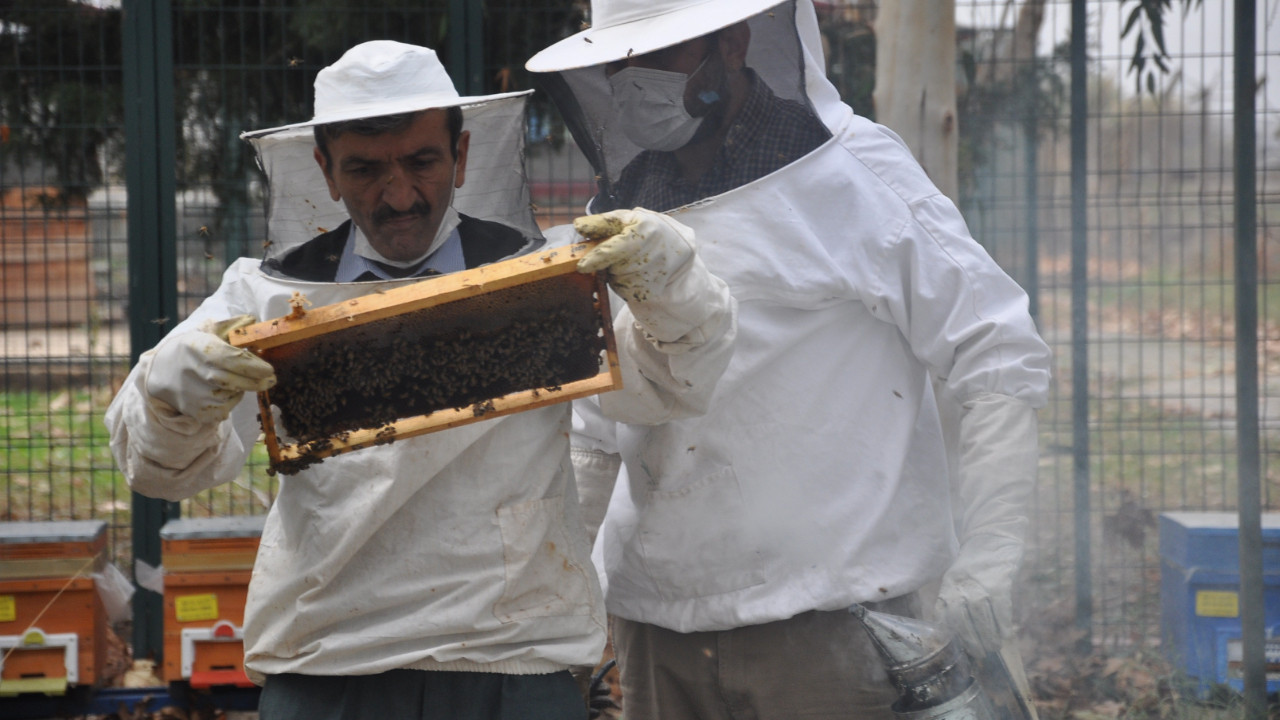 İyi bal nasıl olur? Uzman isim açıkladı