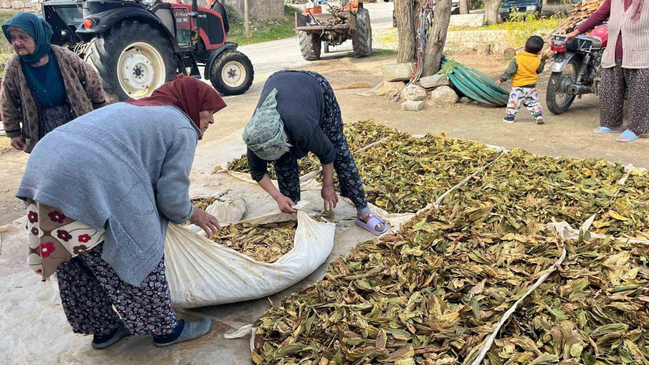 Denizli Buldan'da üretiliyor: 200-300 TL arasında satılıyor