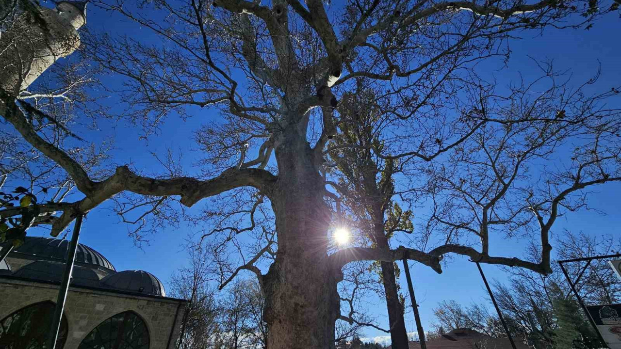Elazığ Harput'un simgelerinden: Tam 3 asırlık