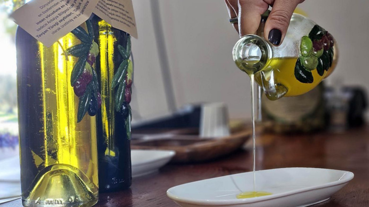 Dünyanın en sağlıklı zeytinyağı bu şehrimizde! Litresi 1500 TL'den satılıyor