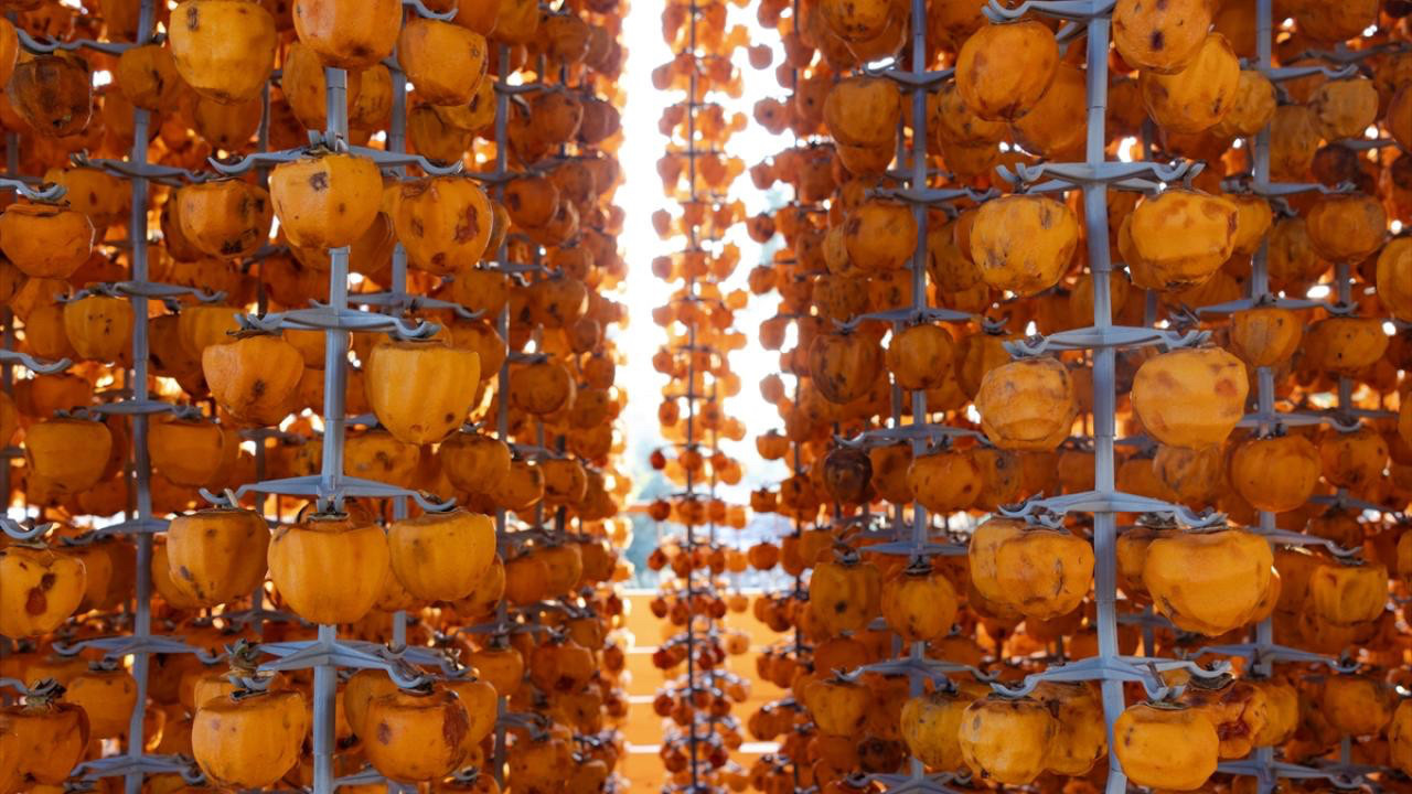 Adana’nın Kozan ilçesinde üretiliyor! Almanya’ya i…