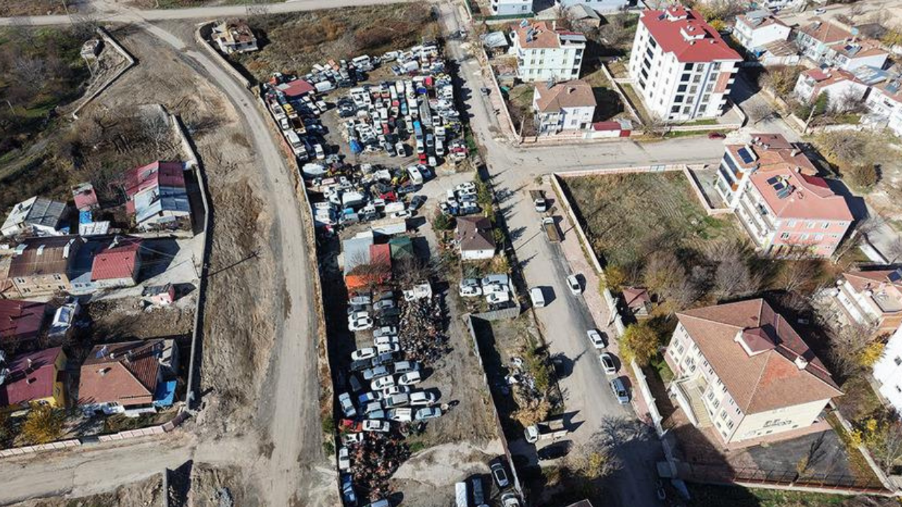 Elazığ'da 500 milyon TL'lik servet çürüyor! Sürekli sayıları artıyor