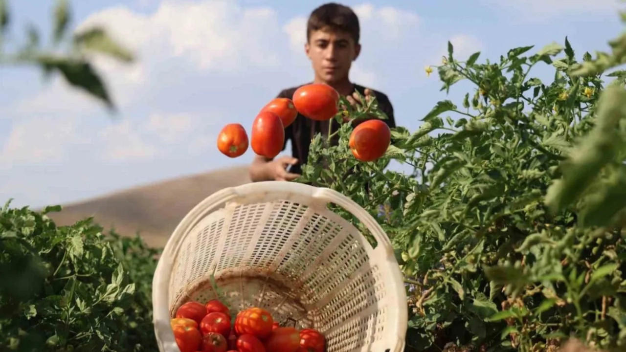 ‘Üretimde alım garantisi şart’