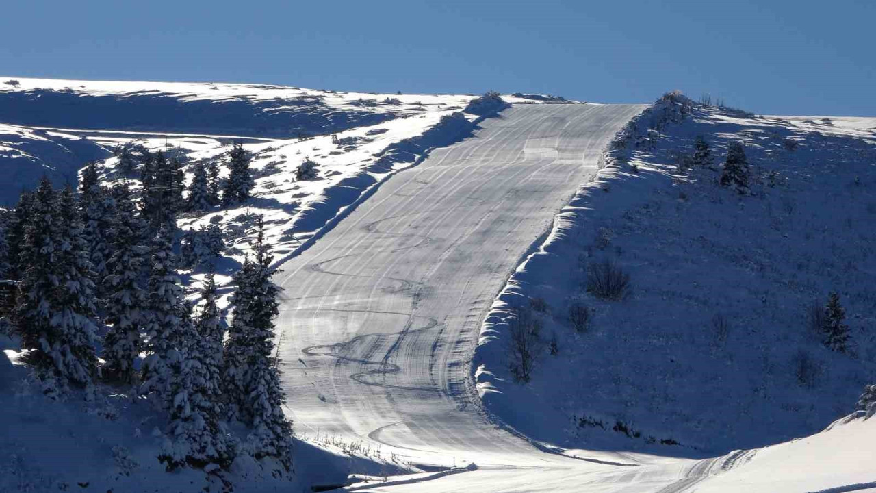 Dünyanın en iyileri arasında! Ordu’nun Kabadüz ilçesinde bulunuyor