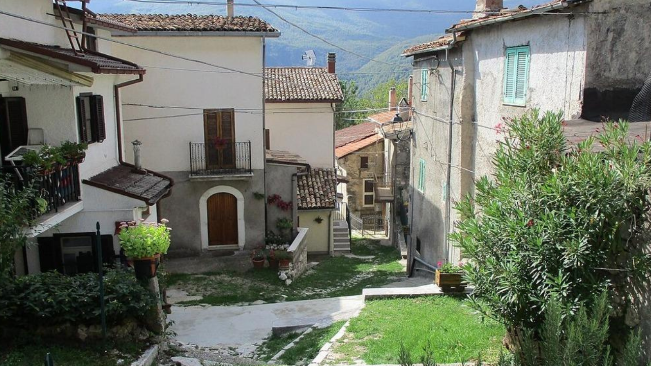 30 yıl sonra ilk kez bebek doğdu! Burada kediler insanlardan daha fazla