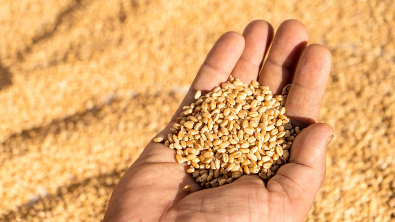 Güneydoğulu üretici destek ve su istiyor