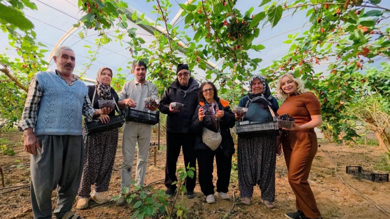 Mersin'de üretiliyor! Üretici mutlu hem yurt içine hem de yurt dışına satıyorlar