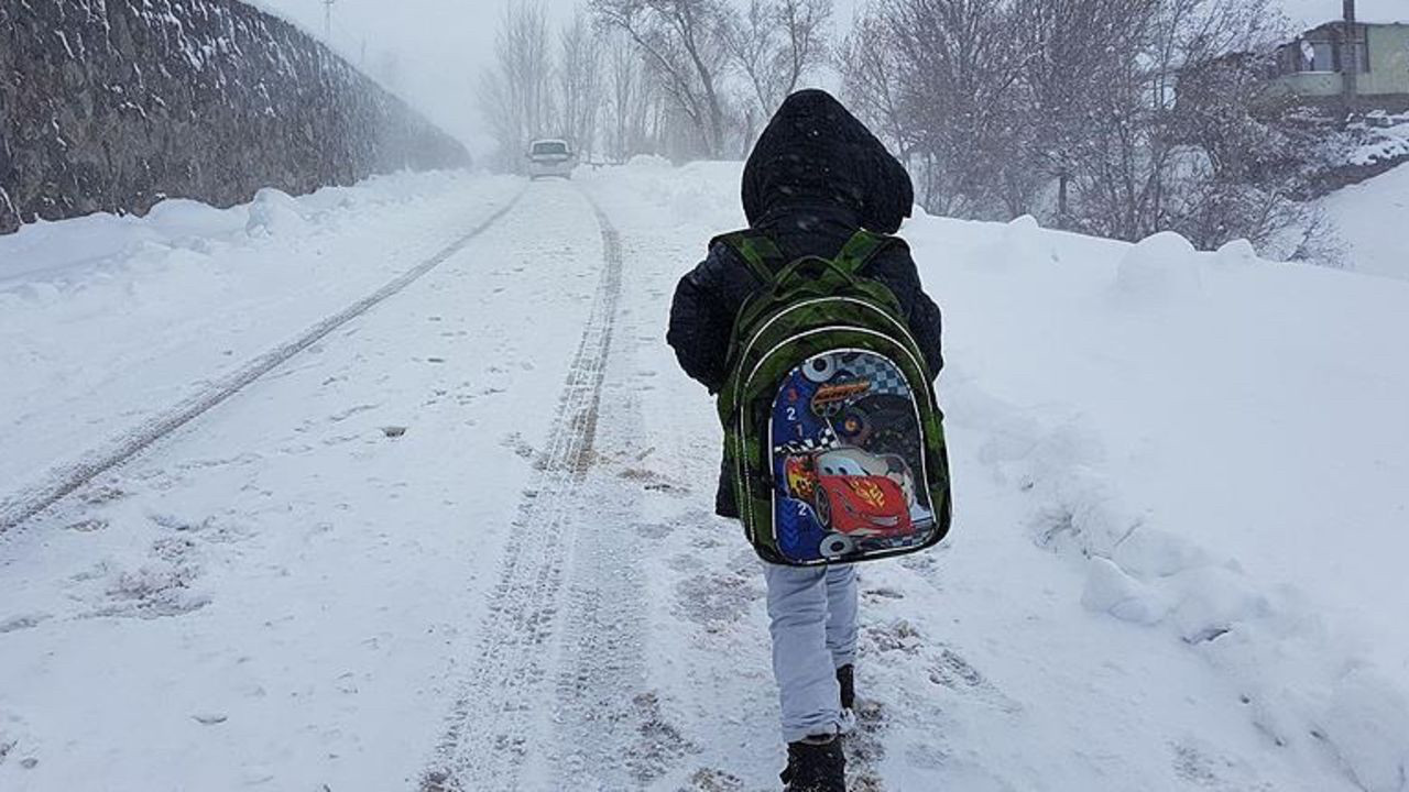 Öğrenciler dikkat! 2 ilde okullara kar tatili...