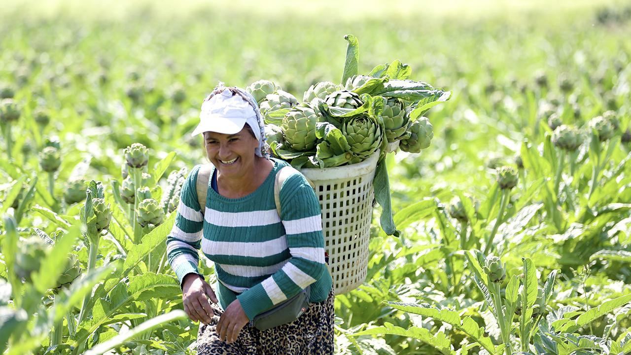 2025’te tarımda büyük kayıplar yaşadık! Üretim Devrimi’nden başka yol yok!