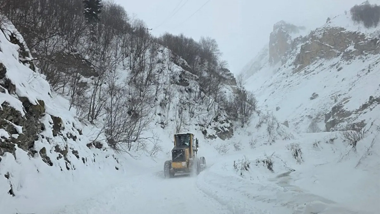 Artvin'de çığ! Vali Ergün'den ilk açıklama geldi