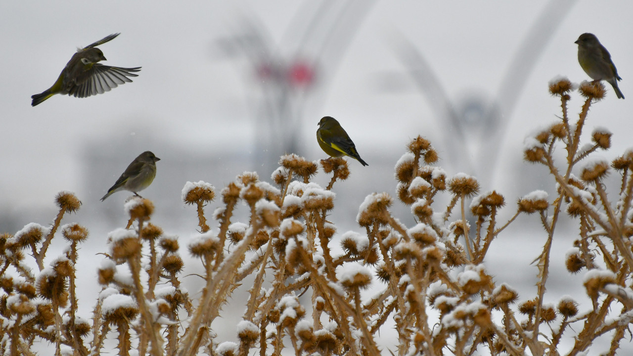 Dünyanın iklim saati kaçı gösteriyor?