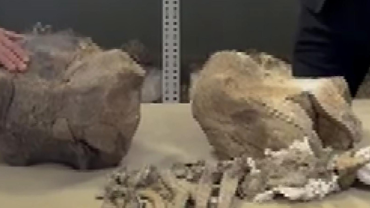 Iğdır'da bulundu! Tam 30 milyon yıllık...