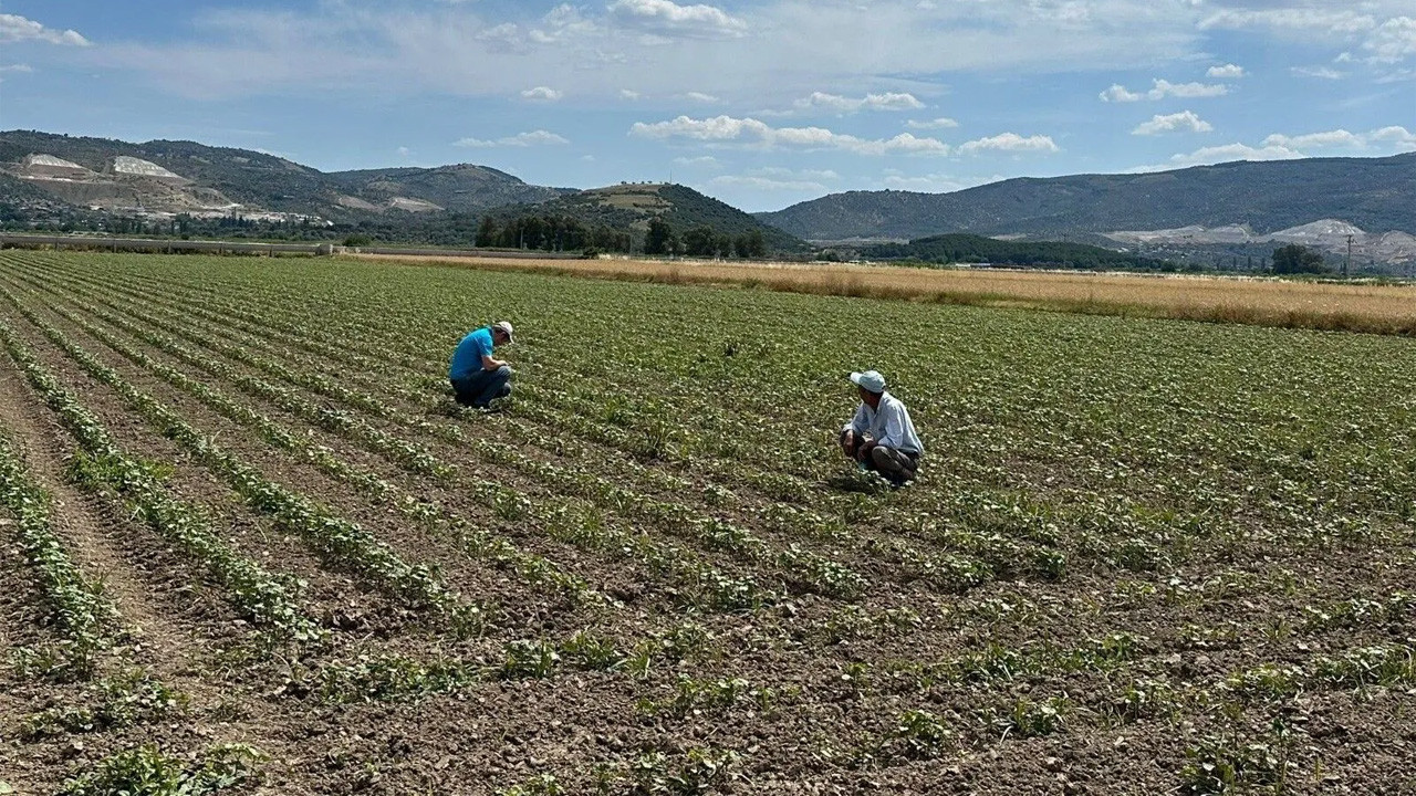 Üretici ekimden önce desteklerin açıklanmasını istedi