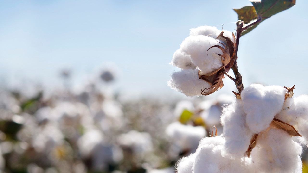 Destekleyin üretelim! Fabrika kurun işleyelim
