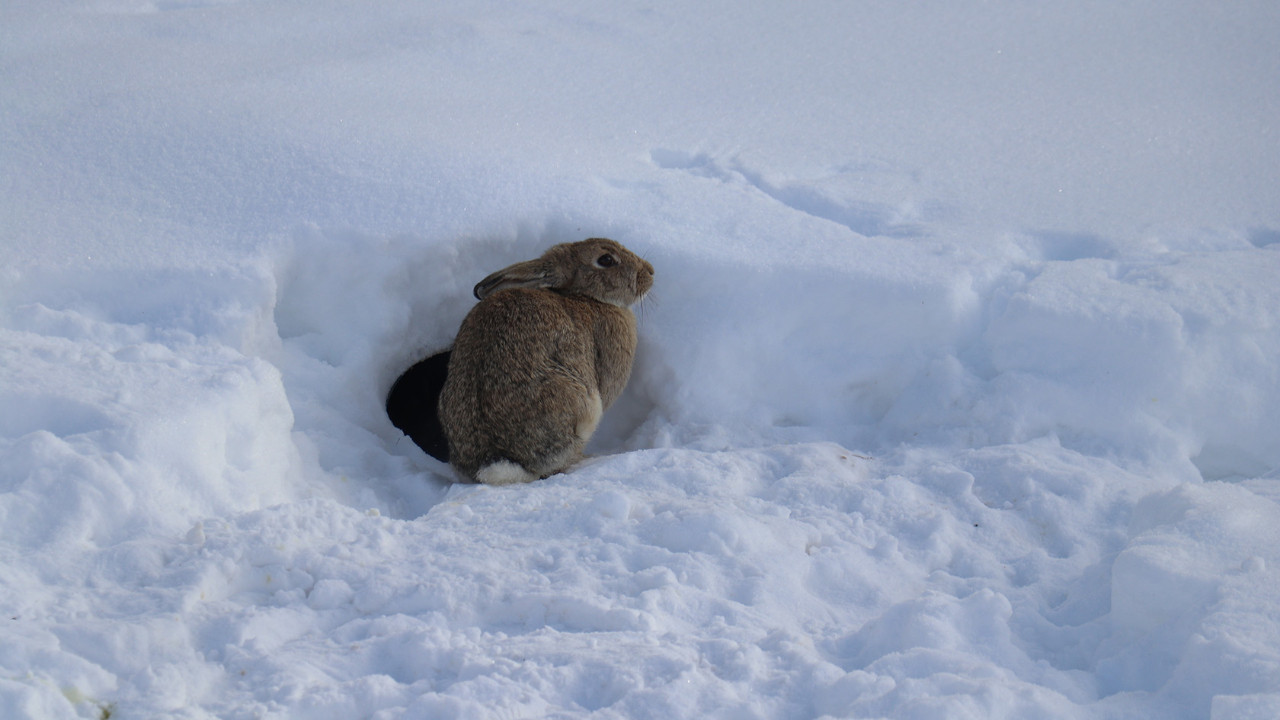 Geleceğin savaşı: Su stratejisi ve tasarruf yalanları