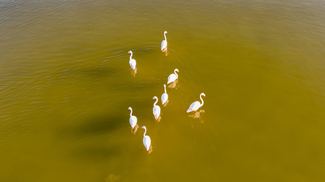 Bir uyanış çağrısı: Doğayla uzlaşmaya mecburuz!